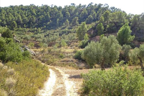 Finca i Maella, Zaragoza, Maella - € 64.000 | Ref: 0818 - foto 13
