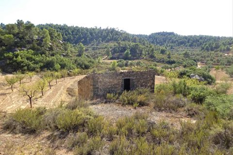 Finca i Maella, Zaragoza, Maella - € 64.000 | Ref: 0818 - foto 12