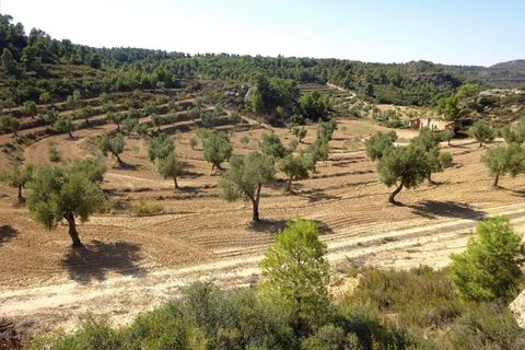 Finca i Maella, Zaragoza, Maella - € 64.000 | Ref: 0818 - foto 20