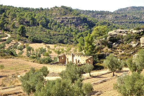 Finca i Maella, Zaragoza, Maella - € 64.000 | Ref: 0818 - foto 22