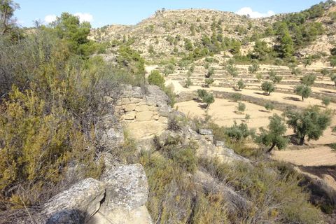 Finca i Maella, Zaragoza, Maella - € 64.000 | Ref: 0818 - foto 30