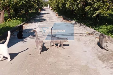 Villa i Siracusa, Siracusa, Siracusa - € 385.000 | Ref: RIF. BEL VCIT 84 - foto 50