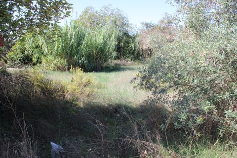 Helårsgrund i Tomar, Santarem, Tomar - € 19.500 | Ref: A522022 - foto 1