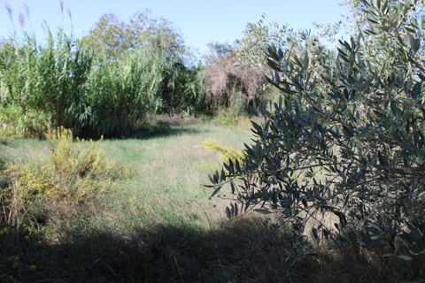 Helårsgrund i Tomar, Santarem, Tomar - € 19.500 | Ref: A522022 - foto 2