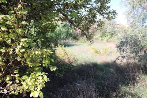 Helårsgrund i Tomar, Santarem, Tomar - € 19.500 | Ref: A522022 - foto 3