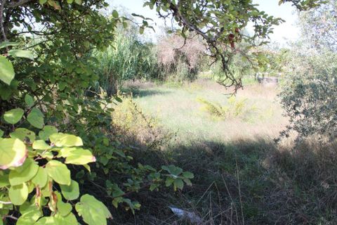 Helårsgrund i Tomar, Santarem, Tomar - € 19.500 | Ref: A522022 - foto 4