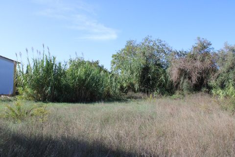 Helårsgrund i Tomar, Santarem, Tomar - € 19.500 | Ref: A522022 - foto 5