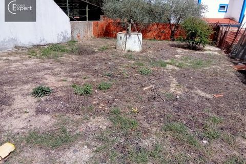 Terra a Torrao, Setubal, Torrao - € 27.000 | Ref: TER_33 - foto 4