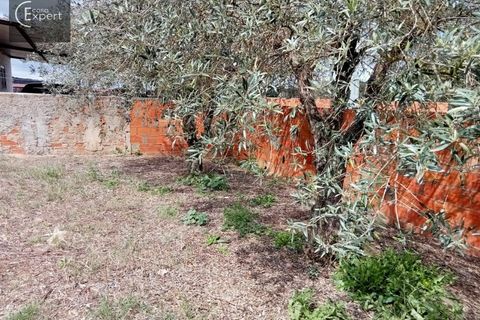 Terra a Torrao, Setubal, Torrao - € 27.000 | Ref: TER_33 - foto 7