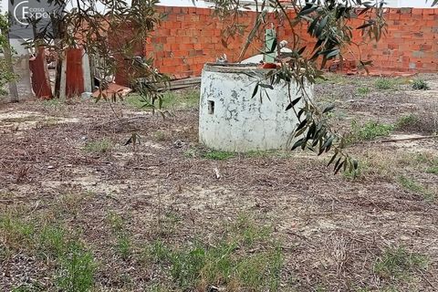 Terra a Torrao, Setubal, Torrao - € 27.000 | Ref: TER_33 - foto 8