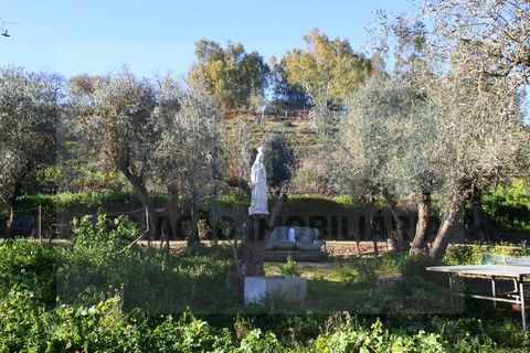 Villa i Borba, Evora, Borba - € 350.000 | Ref: PR-0016 - foto 2