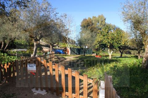 Villa i Borba, Evora, Borba - € 350.000 | Ref: PR-0016 - foto 3