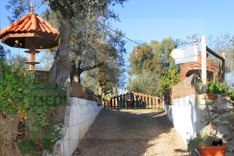 Villa i Borba, Evora, Borba - € 350.000 | Ref: PR-0016 - foto 4
