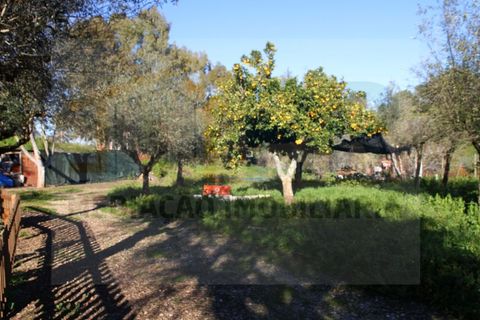 Villa i Borba, Evora, Borba - € 350.000 | Ref: PR-0016 - foto 5
