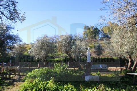 Villa i Borba, Evora, Borba - € 350.000 | Ref: PR-0016 - foto 6