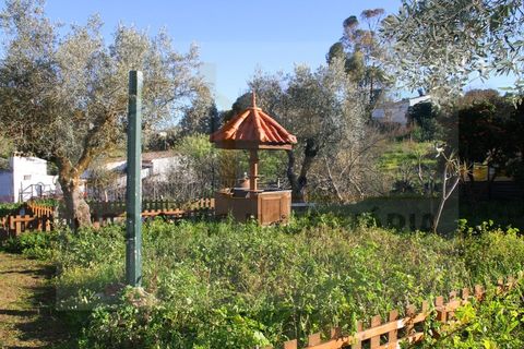 Villa i Borba, Evora, Borba - € 350.000 | Ref: PR-0016 - foto 7