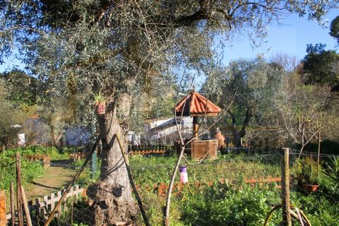 Villa i Borba, Evora, Borba - € 350.000 | Ref: PR-0016 - foto 12