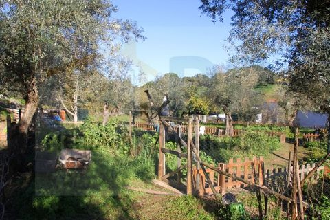 Villa i Borba, Evora, Borba - € 350.000 | Ref: PR-0016 - foto 13