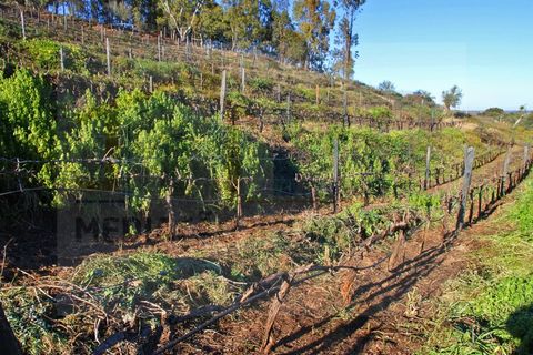 Villa i Borba, Evora, Borba - € 350.000 | Ref: PR-0016 - foto 33