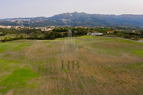Helårsgrund i Sintra, Lisbon, Sintra - € 2.100.000 | Ref: HB0247 - foto 12