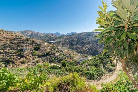Finca i Torrox, Malaga, Torrox - € 315.000 | Ref: TCP199 - foto 12