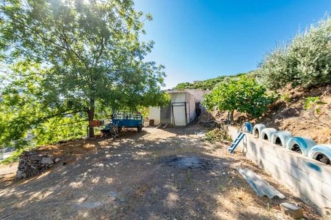 Finca i Torrox, Malaga, Torrox - € 315.000 | Ref: TCP199 - foto 14