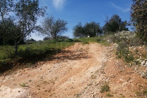 Villa a Boliqueime, Faro, Boliqueime - € 1.750.000 | Ref: CAS_50211 - foto 10