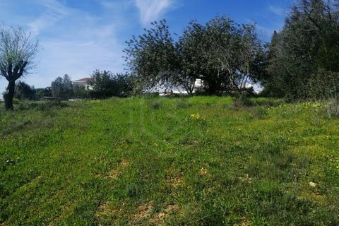 Villa a Boliqueime, Faro, Boliqueime - € 1.750.000 | Ref: CAS_50211 - foto 11