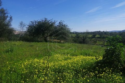 Villa a Boliqueime, Faro, Boliqueime - € 1.750.000 | Ref: CAS_50211 - foto 14
