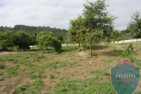 Farm i Viseu, Viseu, Viseu - € 250.000 | Ref: 1472/V - foto 3