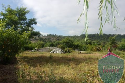 Farm i Viseu, Viseu, Viseu - € 250.000 | Ref: 1472/V - foto 5