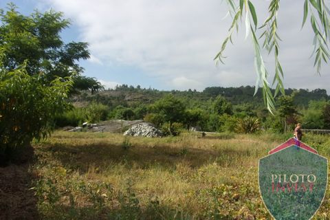 Farm i Viseu, Viseu, Viseu - € 250.000 | Ref: 1472/V - foto 6