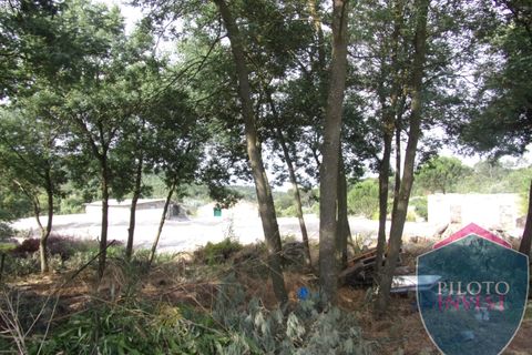 Farm i Viseu, Viseu, Viseu - € 250.000 | Ref: 1472/V - foto 7