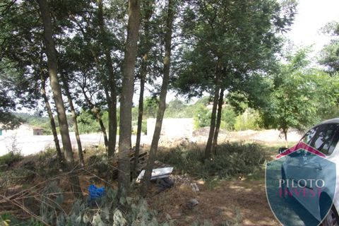 Farm i Viseu, Viseu, Viseu - € 250.000 | Ref: 1472/V - foto 8