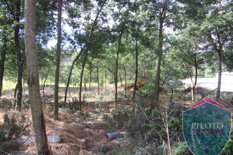 Farm i Viseu, Viseu, Viseu - € 250.000 | Ref: 1472/V - foto 9