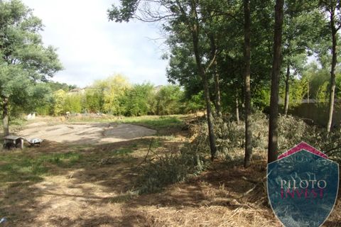 Farm i Viseu, Viseu, Viseu - € 250.000 | Ref: 1472/V - foto 10