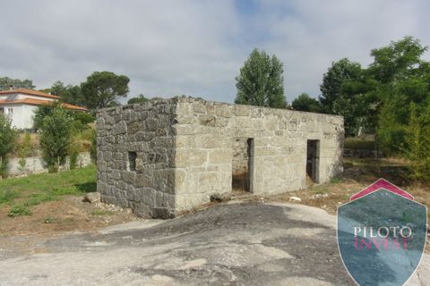 Farm i Viseu, Viseu, Viseu - € 250.000 | Ref: 1472/V - foto 12