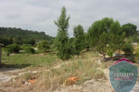 Farm i Viseu, Viseu, Viseu - € 250.000 | Ref: 1472/V - foto 13