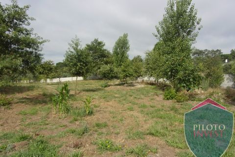 Farm i Viseu, Viseu, Viseu - € 250.000 | Ref: 1472/V - foto 14