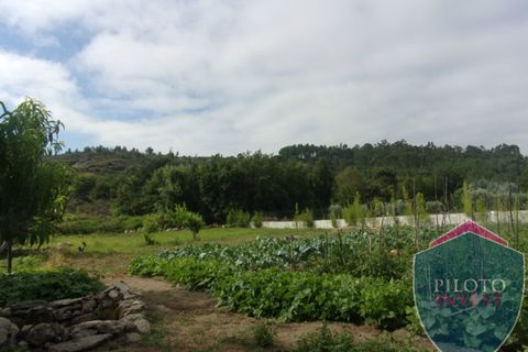 Farm i Viseu, Viseu, Viseu - € 250.000 | Ref: 1472/V - foto 15