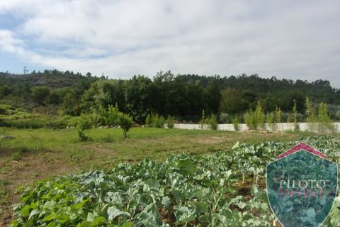 Farm i Viseu, Viseu, Viseu - € 250.000 | Ref: 1472/V - foto 16