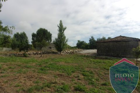Farm i Viseu, Viseu, Viseu - € 250.000 | Ref: 1472/V - foto 17
