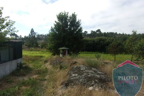 Farm i Viseu, Viseu, Viseu - € 250.000 | Ref: 1472/V - foto 20