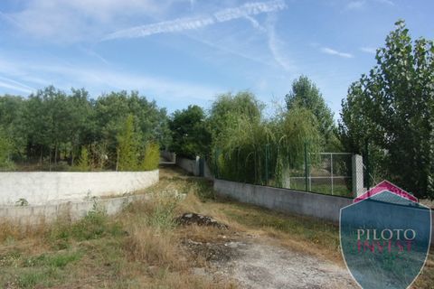Farm i Viseu, Viseu, Viseu - € 250.000 | Ref: 1472/V - foto 21