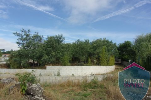 Farm i Viseu, Viseu, Viseu - € 250.000 | Ref: 1472/V - foto 22