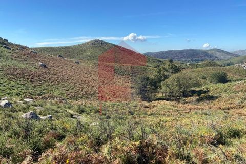 Helårsgrund i Vila Verde, Braga, Vila Verde - € 15.000 | Ref: 07747 - foto 3