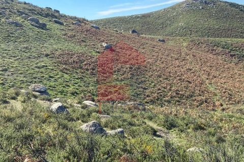Helårsgrund i Vila Verde, Braga, Vila Verde - € 15.000 | Ref: 07747 - foto 4