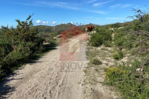 Helårsgrund i Vila Verde, Braga, Vila Verde - € 15.000 | Ref: 07747 - foto 5