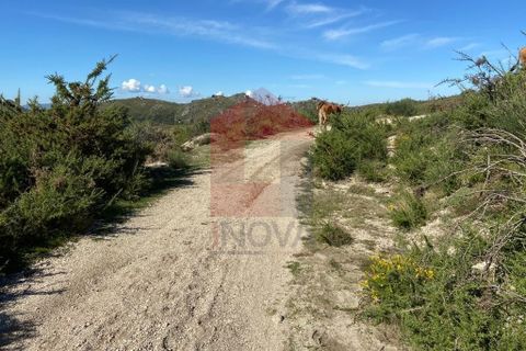 Helårsgrund i Vila Verde, Braga, Vila Verde - € 15.000 | Ref: 07747 - foto 7