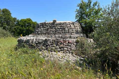 Landejendom i Ostuni, Brindisi, Ostuni - € 150.000 | Ref: 194 - foto 5